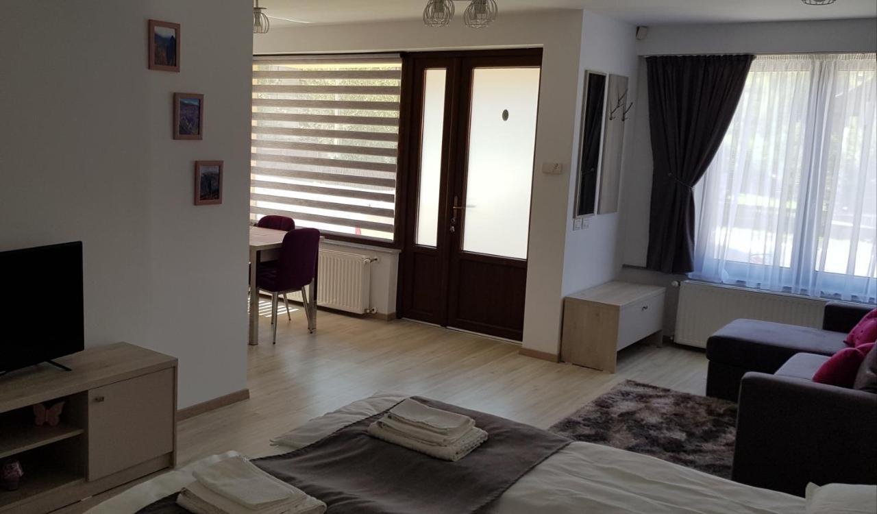 Casa Montis Hotel Borşa Eksteriør billede