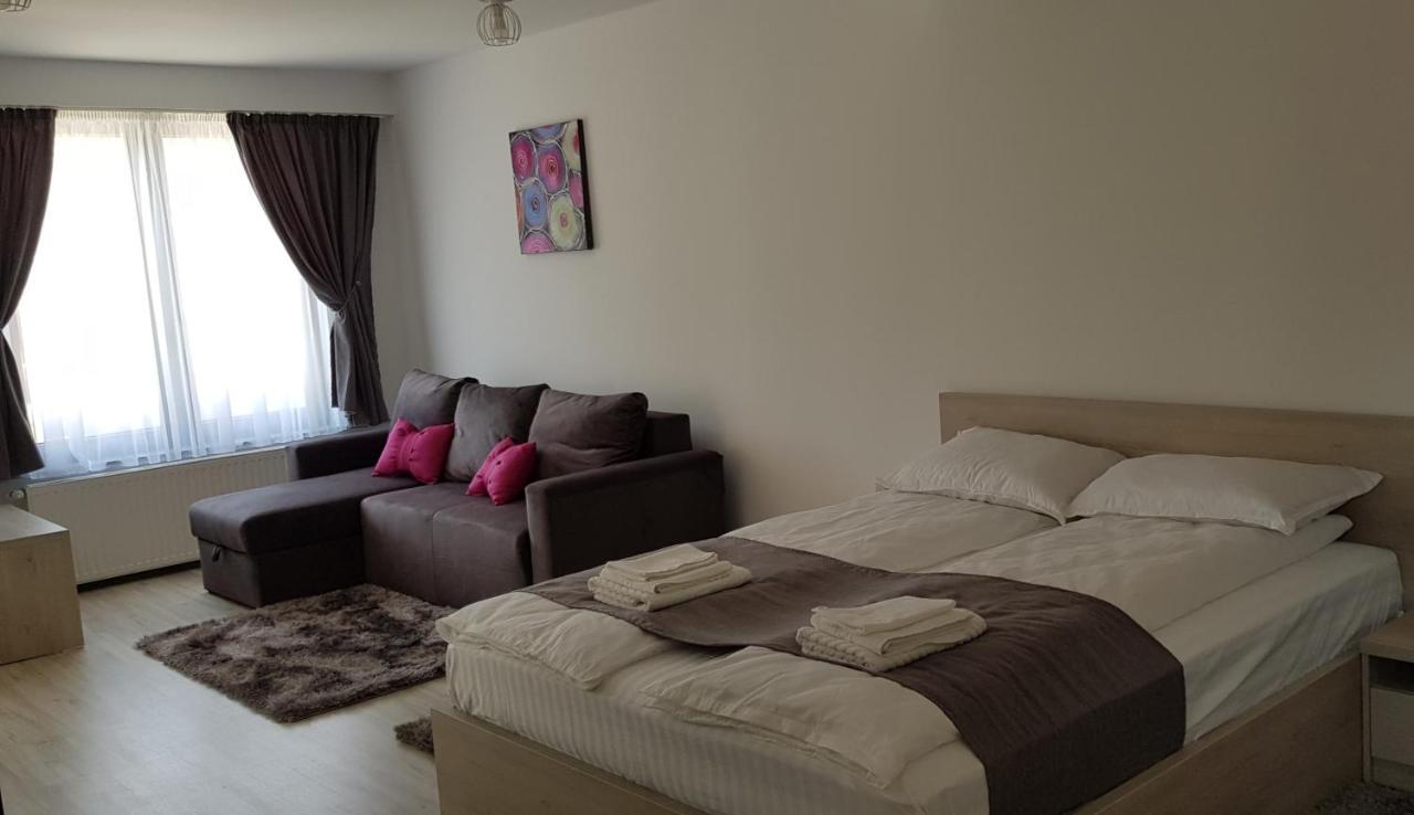 Casa Montis Hotel Borşa Eksteriør billede
